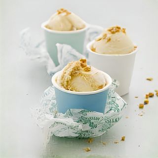 Yaourt Glacé Spéculoos