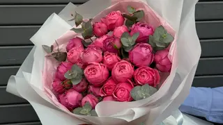 ვარდი “Silva pink”