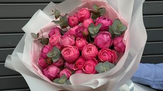 ვარდი “Silva pink”