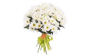 თეთრი ქრიზანთემის ბუკეტი