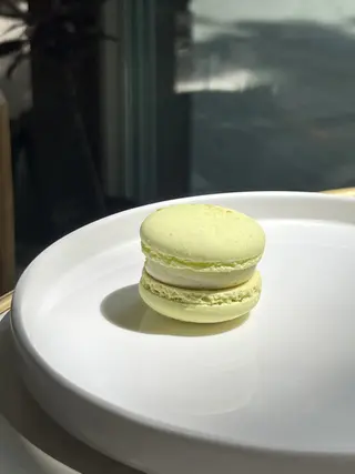 Macarons Fistic