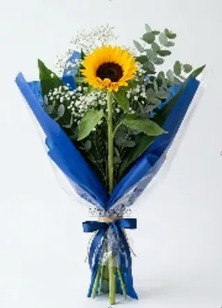 Girasole