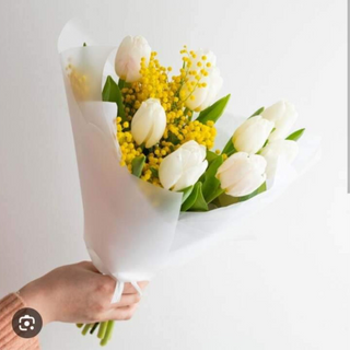 ტიტები და მიმოზა (10ც)