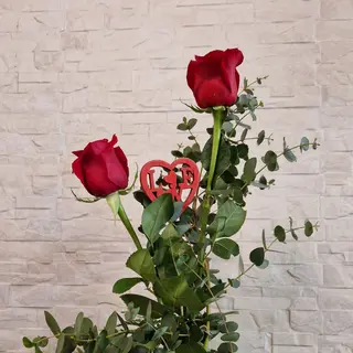 DOS ROSAS ROJAS
