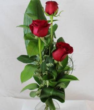 3 rose rosse