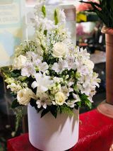 თეთრი შერეული დიდი კოლოფი