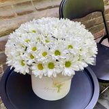 Композиція в коробці з  ромашок хризантем