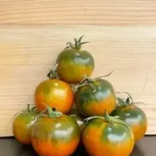 Pomodoro tipo Camone al kg