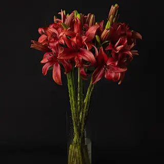 Ramo de 10 liliums rojos