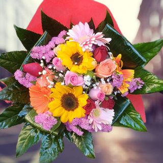 Un fragoroso applauso di petali