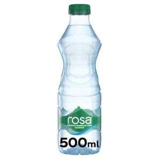 Rosa gazirana