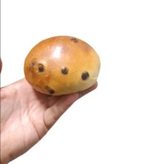 Pan gocciole vegano vuoto