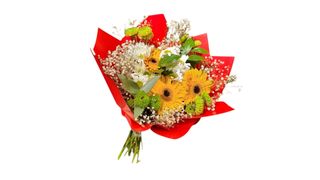 #6 მზის სიყვარული