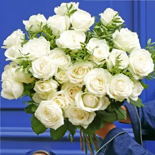 10 Rose Blanches
