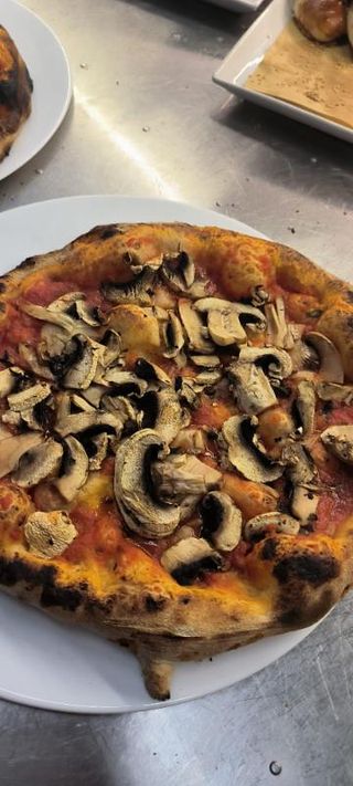 Funghi