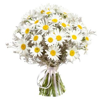 Bouquet margherite bianche