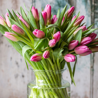 Bukiet tulipanów Barcelona 25