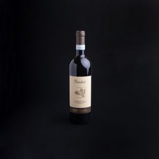 Dolcetto d’alba cantina Bridget 13,5%Vol 