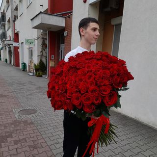 Bukiet - róża czerwona 70-80cm  50szt