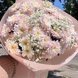 Легкість мрій