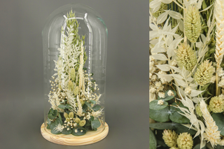 Fanal Flores Blancas