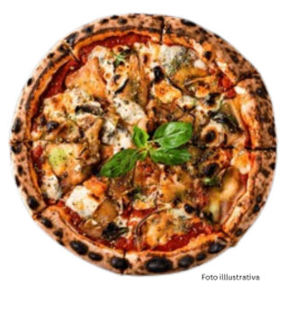 parmigiana