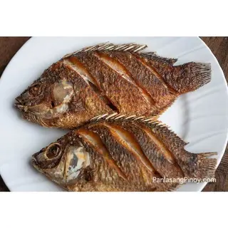 Tilapia Small