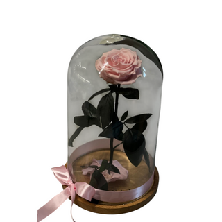 Vjecna ruza u zvonu...roza