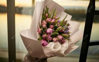 Paquete de Tulipanes Seleccion Holanda