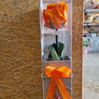 Rosa Preservada Laranja 