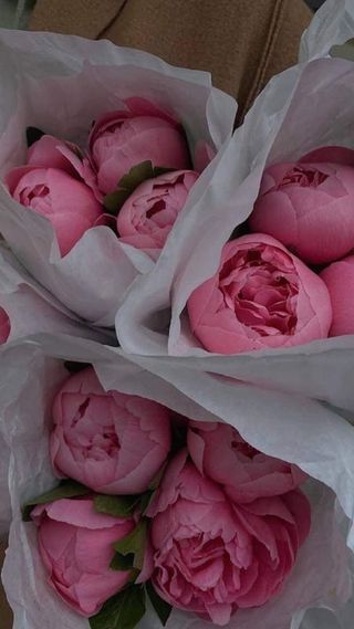 4 ცალი პიონი კრაფტში 