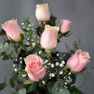  Rosas rosa 6 unidades