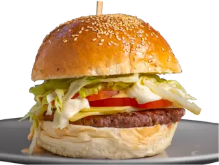 Hamby classic burger+krumpirići