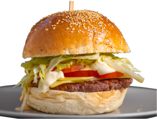 Hamby classic burger+krumpirići