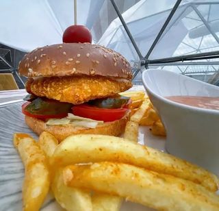 Burger Crispy de pui