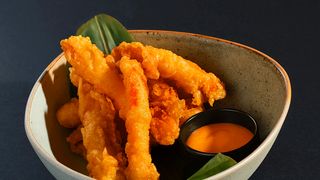 კიბორჩხალის ტემპურა