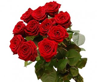 Bukiet 11 róż czerwonych