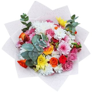 Multi-Colored Garden