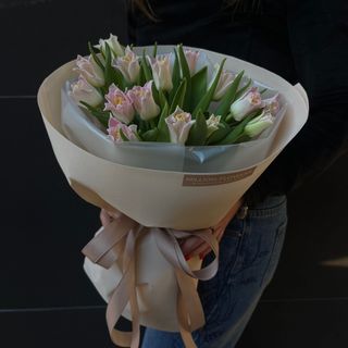 15 тюльпанів Crown Dynasty 