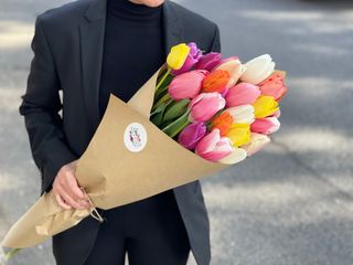 ფერადი ტიტა 20 ცალი