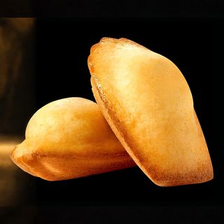 Madeleine au citron