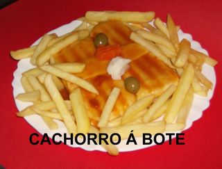 Cachorro à Bote
