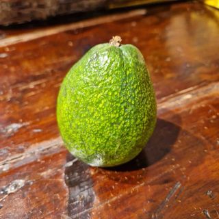Avocado - 1 pezzo