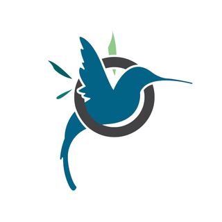 Polpettine di Pulled Pork