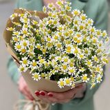 7 crengute de romanita