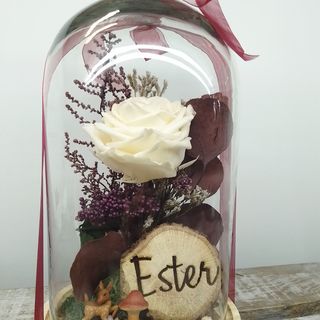 Cupula rosa preservada 