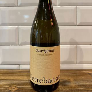 Sauvignon Terre Baciate