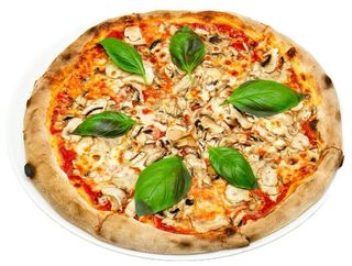 Funghi
