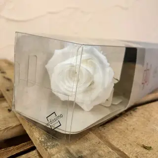 Rosa eterna blanca
