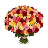 101 trandafiri multicolori